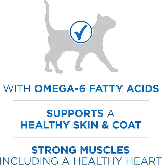 Purina ONE Plus High Protein Cat Food Dry Salmon and Ocean Whitefish Cat Skin and Coat Health Formula - 22 lb. Bag