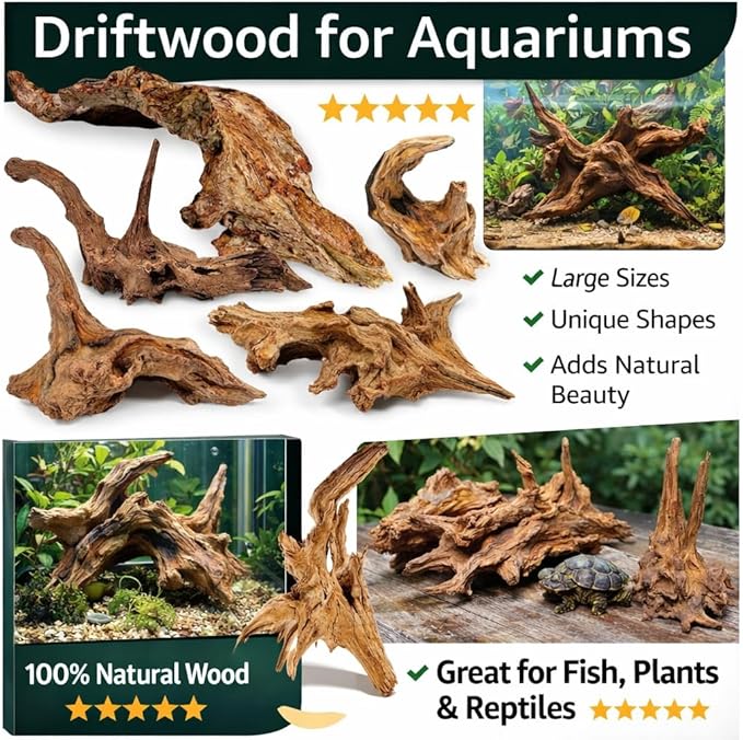 Azil Natural Driftwood 9''-12'' (2 Pieces) – Perfect Aquarium Decoration for Fish Tanks, Freshwater Aquariums, Terrariums, Aquascaping, Hardscaping, Aquatic Plants