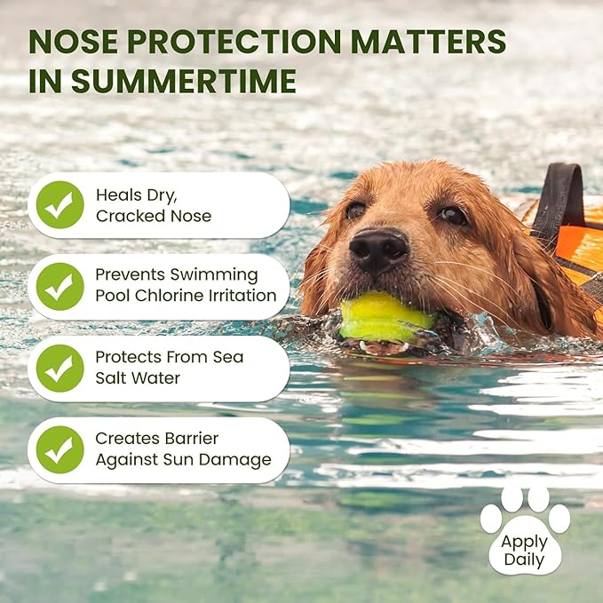 Snout Soother Nose Balm for Dogs & Cats - Natural Healing & Moisturizing Balm for Dry, Cracked Snouts - Plant-Based, Soothing Skin Formula