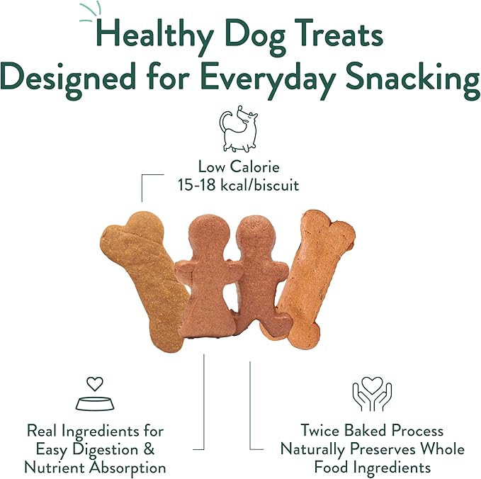 Portland Pet Food Company Healthy Dog Treats Vegan Variety Pack - Grain-Free, Human-Grade Apple Mint, Gingerbread, Pumpkin Treats - Natural Training Biscuits for All Ages & Sizes, Made in USA - 3 Pack