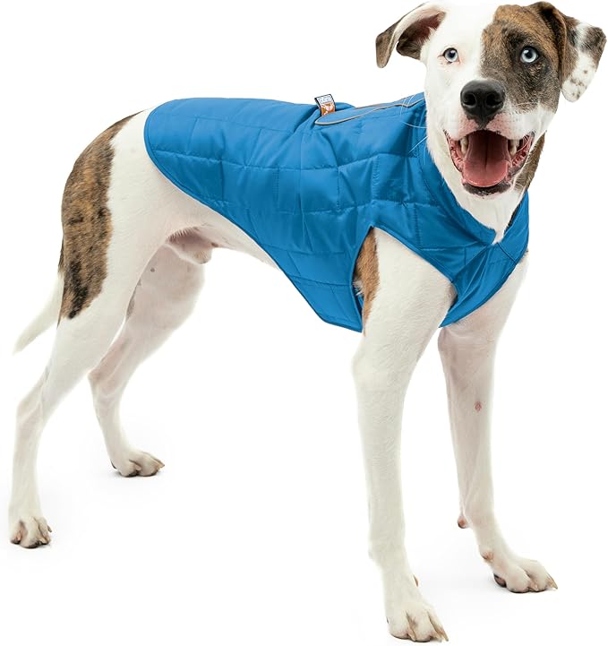 Kurgo Loft Dog Jacket - Reversible Cozy Coat for Outdoor Adventures - Water Resistant - Athletic Fit - Machine Washable Fabric - Reflective Dog Gear - Medium - Coastal Blue