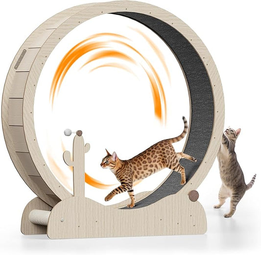 JungleA Large Cat Exercise Wheel 47 Inch - Spacious Cat Wheel with Detachable Teaser and Scratching Post for Indoor Cats, Featuring Safety Lock & Low Noise Design for Most Cats