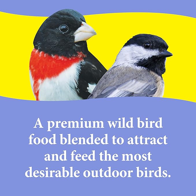 3-D Premium Nut N' Berry Wild Bird Food – Real Fruits, Nuts & Sunflower – No Fillers – Fortified with Vitamins & Electrolytes – Attracts Songbirds, Woodpeckers, Cardinals & More