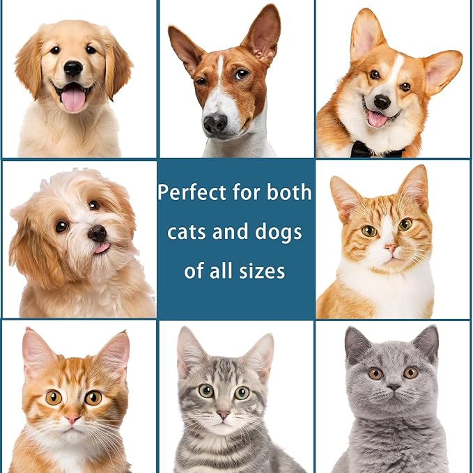 Pet Steam Brush Dog Cat 2026 New Grooming Comb for Shedding Concentrated Waterless Shampoo, 3-in-1 Grooming Spray Comb Mist, 2*Shampoo(Steam Brush not Included)