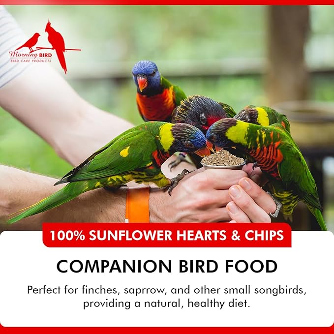 Morning Bird Sunflower Hearts & Chips 1.5 lbs – Premium Bird Seed with High Protein & Healthy Fat - Shelled Sunflower Hearts for Birds - Mess Free, Easy to Feed, Delicious Snack