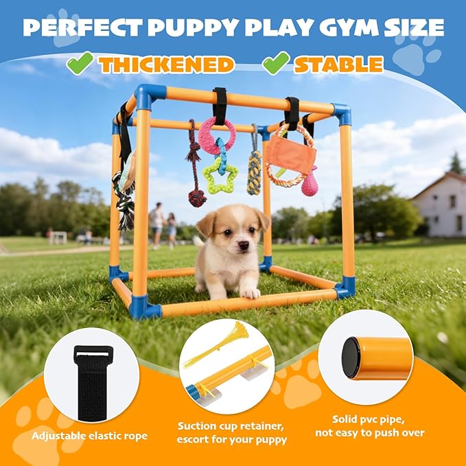 Puppy Play Gym with 10 Hanging Toys, 19.5" PVC Removable Dog Enrichment Playground, Interactive Indoor Training Activity Center for Small Dogs & Puppies with Rubber/Teething/Rope/Squeaky Toys