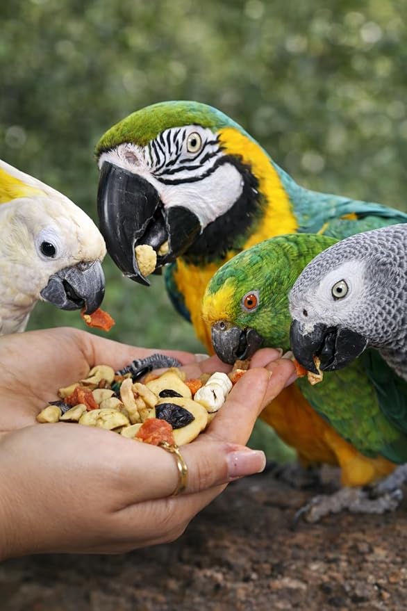 Birds LOVE All Natural Garden Blend Bird Food for Parrots 2lb