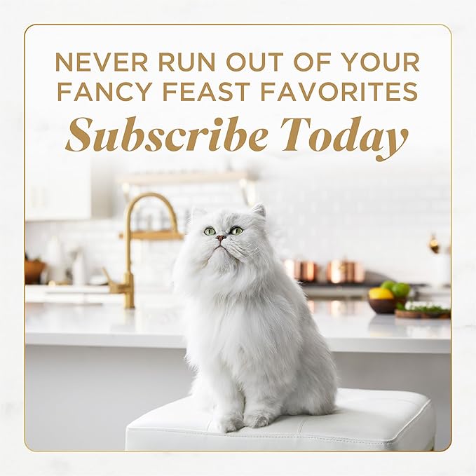 Purina Fancy Feast Wet Cat Food Medleys Turkey Florentine With Spinach in a Light Cat Food Broth - (Pack of 24) 3 oz. Cans