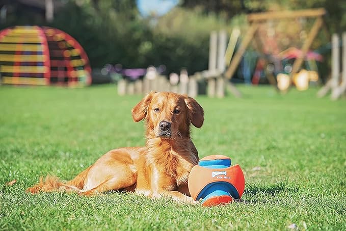 Chuckit! Kick Fetch Ball Large - 2 Pack