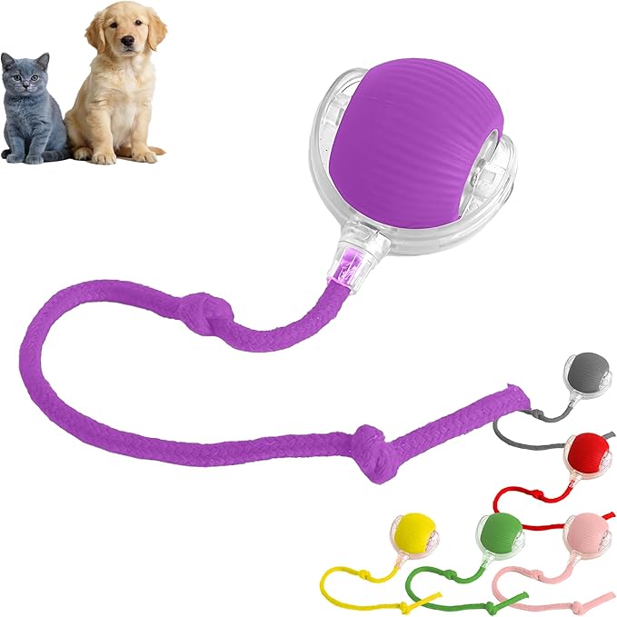Smart Tiny Fetch Dog Toy, Interactive Cat Toys Ball with Smart Motion Sensor and Auto-Dodging for Bored Kitten Pet Cats Dogs (Purple)