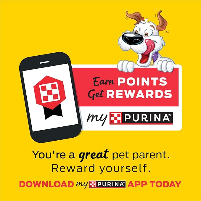 Purina Beggin’ Flavor Stix With Bacon & Peanut Butter Flavor - 25 oz. Pouch
