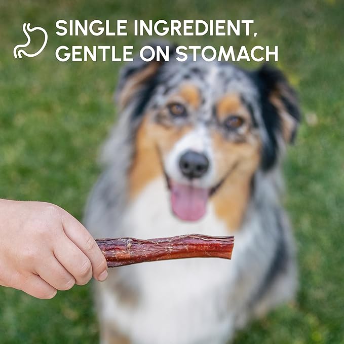 Downtown Pet Supply USA Sourced Bully Sticks for Dogs - Grass-fed Beef Chews, Low-Odor & Rawhide-Free, Long Lasting Dog Treats - Healthy, Safe & Delicious Chews (12" 15 Pack)