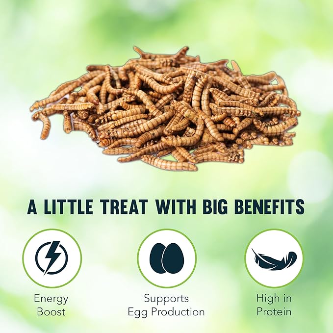 JOR High-Protein Mealworms for Poultry and Birds, Favorite Treat of Hedgehogs, Nutritionally Packed for Squirrels and Frogs, Lizards, Snakes & Fish, 200gram (7Oz)