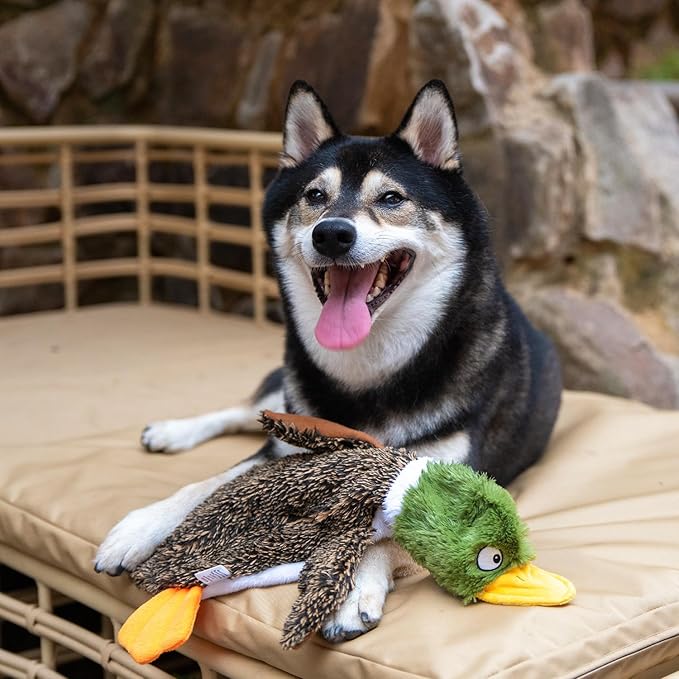 Best Pet Supplies Squeaky Dog Toys with Soft Durable Fabric for Small, Medium and Large Pets Interactive Toy for Indoor Play, Supports Active Biting and Play - 1Wild Duck, Alligator, Large