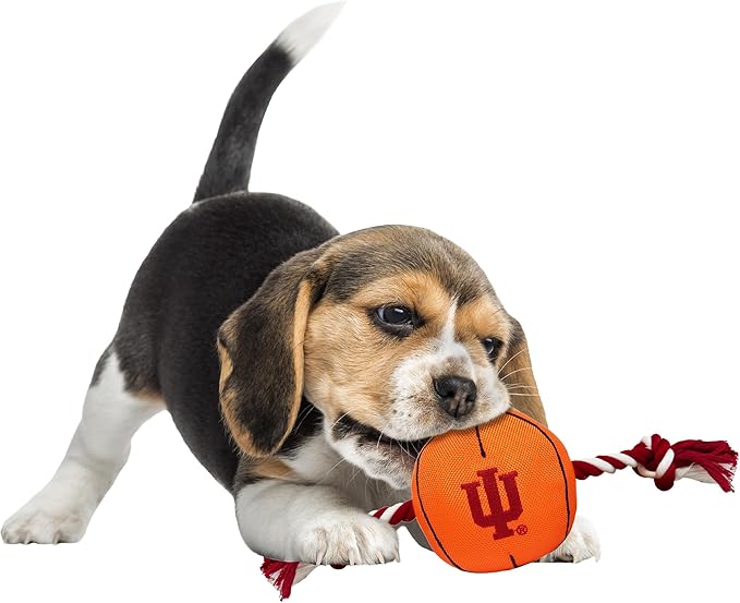NCAA Indiana Hoosiers Basketball Rope Toy for Dogs & Cats. Tough Nylon, Sporty Basketball Design, Heavy-Duty Ropes with Inner Squeaker