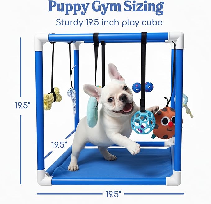 Race&Herd Puppy Play Gym, Dog Play Mat, 8 Bungee Straps Interactive Puppy Active Toys - Small Dog Jungle Gym 19.5" Frame with Playground Set Indoor Enrichment Activity Center (Blue)