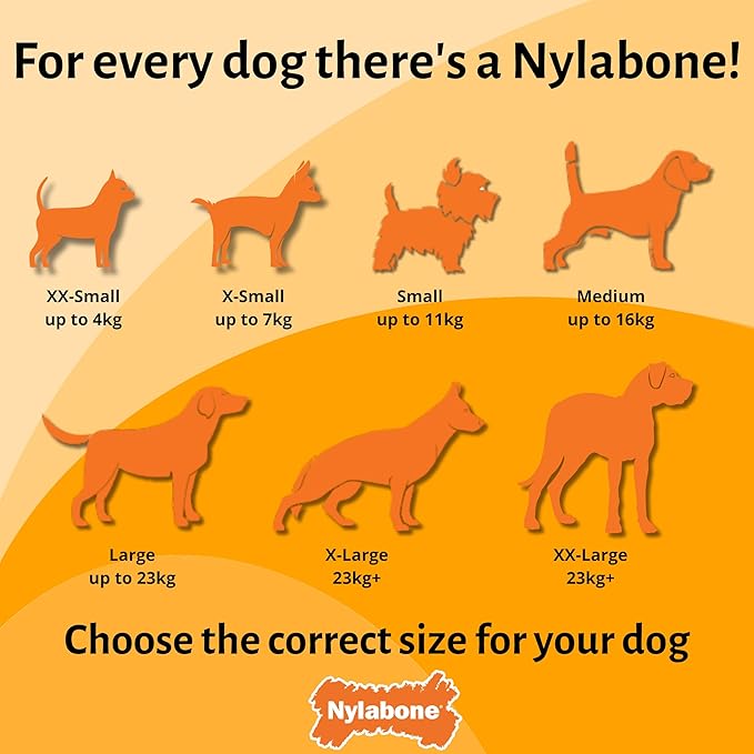 Nylabone, Extremely Strong Chewing Effect, Interactive Chew Toy with Rolling Bone, Bacon Flavour, Large - for Dogs up to 23 kg