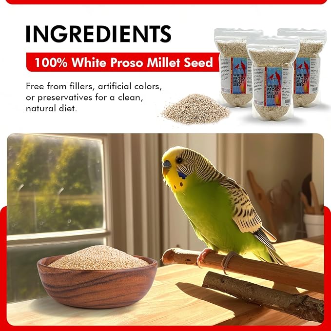 Morning Bird White Proso Millet 4.5 lbs (3-Pack, 1.5 lbs Each) Unhulled Natural Bird Seed – Supports Feather Growth & Balanced Nutrition – High Energy Seed - Ideal for Finches, Parakeets & Pet Birds