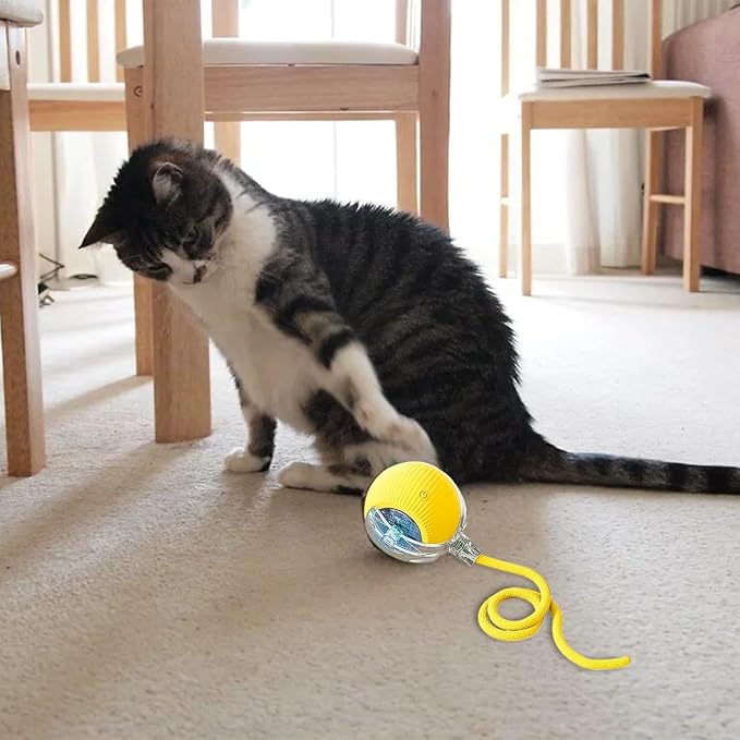 Interactive Rolling Dog Ball, Chewie Viral Rolling Ball, Chewie Ball for Dogs, Interactive Dog Smart Ball Toy, Smart Automatic Rolling Pet Ball for Dog Cat