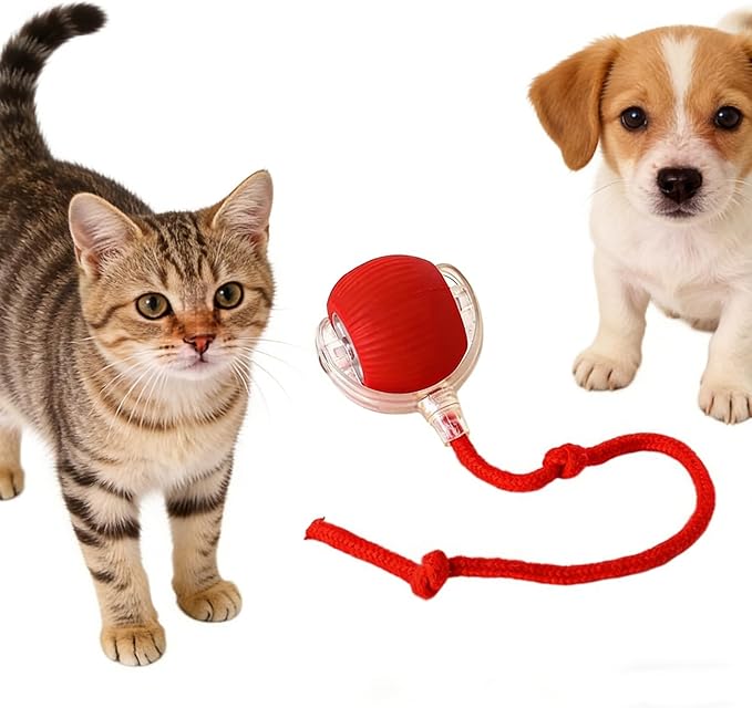 RightBliss Automatic Interactive Cat Dog Toy with Elastic Tail: Chirping Sound, Smart Obstacle Avoidance for Indoor Cats & Kittens (red)