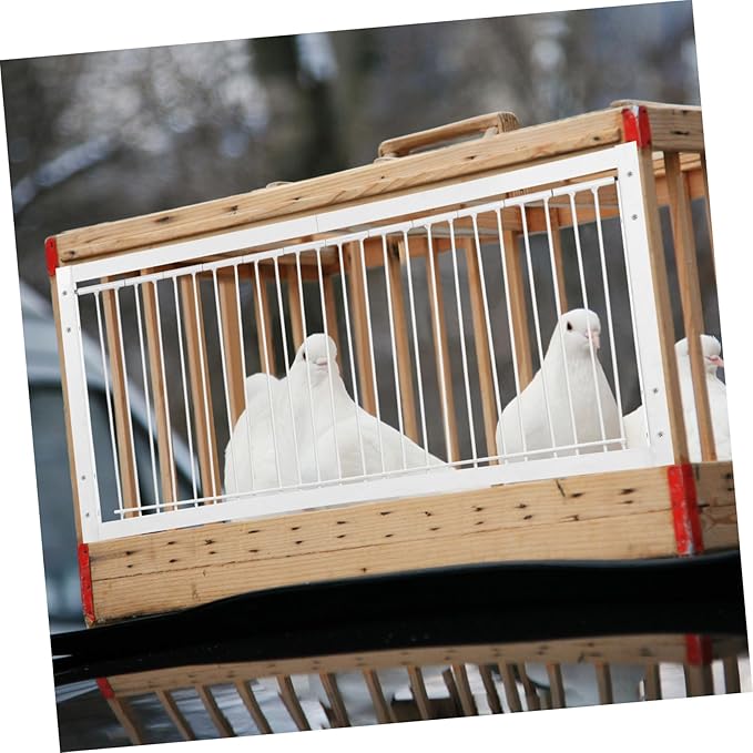 Racing Pigeon Durable Encrypted Bird Cage Entrance for Pigeon Loft Enhanced Safety for Competitive Pigeon Racing and Jumping Events for Reliable Use