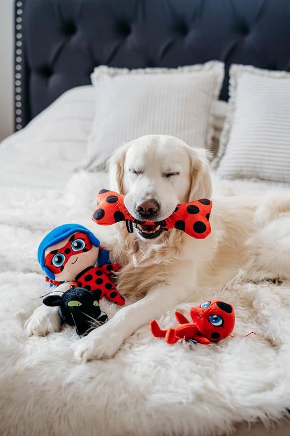 ZippyPaws - Miraculous Patterned Bone – Lucky Charm