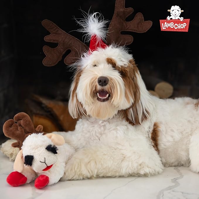 Multipet Lamb Chop Easter Dog Toy | Plush Dog Toy | Squeaker Dogs Toys |10" | White | Officially Licensed