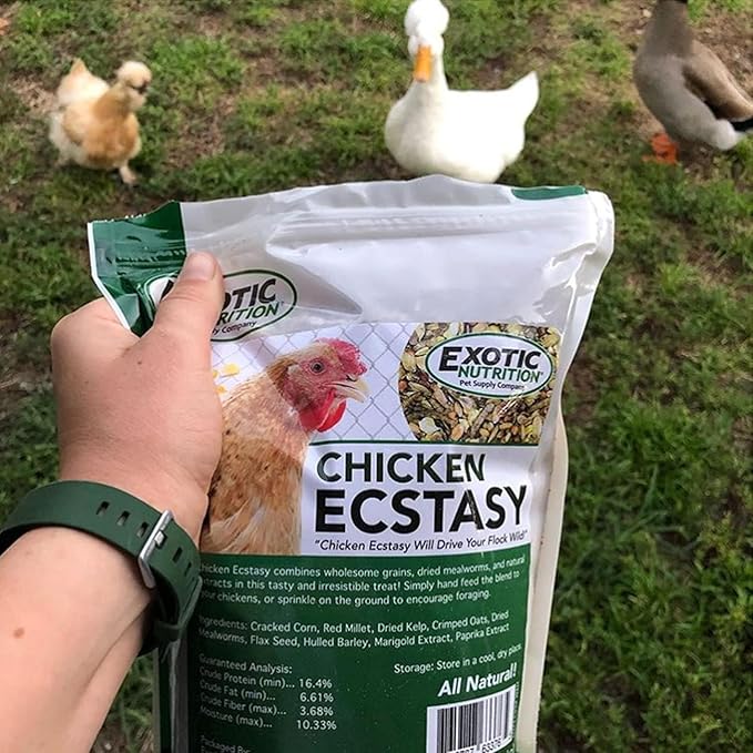 Exotic Nutrition Chicken Ecstasy (10 oz.) - Healthy All-Natural Backyard Chicken Feed - Grains, Dried Mealworms & Natural Extracts - Promotes Healthy Chickens & Eggs