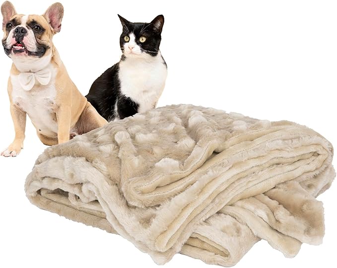 Petique The Velvet Blanky Pet Blanket, Super Soft Cat and Dog Blanket, Double Sided Plush Polyester, Cute Paw Print Design, Reversible, Machine Washable, Large Fleece Kitten and Puppy Blanket