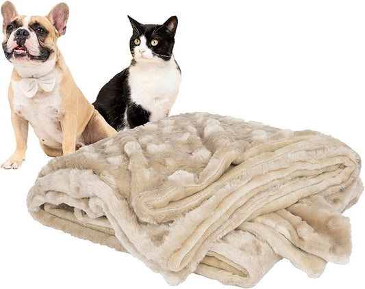 Petique The Velvet Blanky Pet Blanket, Super Soft Cat and Dog Blanket, Double Sided Plush Polyester, Cute Paw Print Design, Reversible, Machine Washable, Large Fleece Kitten and Puppy Blanket