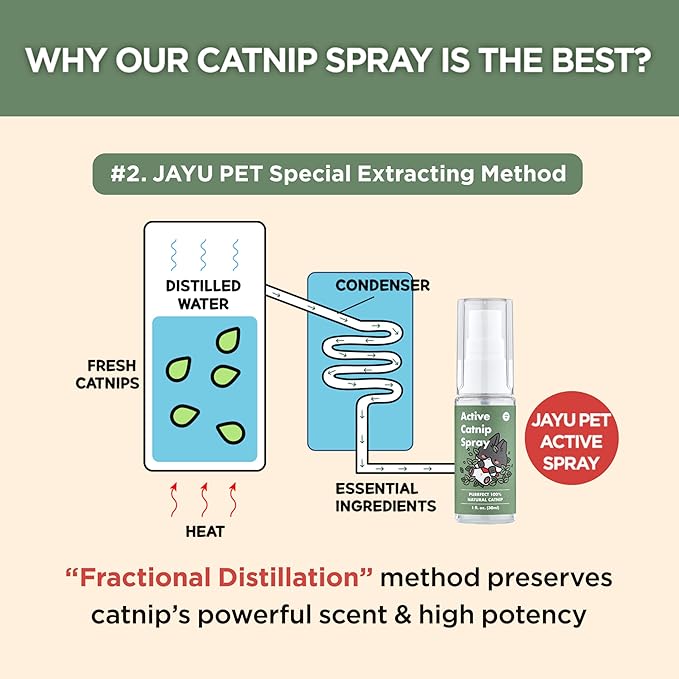 JAYU PET Active Catnip Spray - High Potency Transparent Liquid Spray Made of Fresh Organic Catnip for Indoor Cats and Kittens, Relieves Stress, Calming, Revives Toys (1fl oz) (Catnip Spray, 1fl oz)