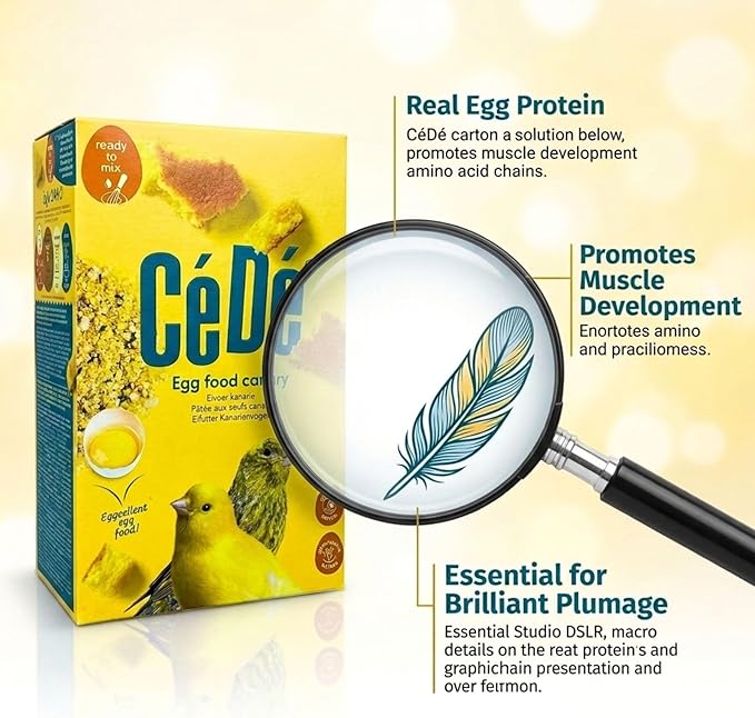 CeDe Egg Food for Canaries and Finches 1kg – Ready-to-Use Food Bird Feed for Breeding, Molting and Daily Conditioning, Soft Egg-Based Feed in Sealed Freshness Box
