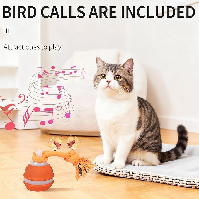 Interactive Dog & Cat Toys for Small Dogs and Indoor Cats - Automatic Moving Ball with Chirping Sound, Motion Activated Self Play Toy to Entertain Bored Pets, Easter Basket Essentials (1 Orange)