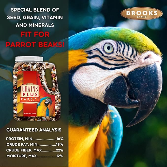 Brooks Brand Grains Plus Parrot Blend, Bird Food Parrot Seed Mix, African Grey Food, Eclectus, Indian Ringneck, Quaker (4.5 lbs)