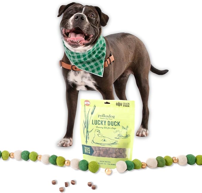 Polkadog Lucky Duck Crunchy Training Bits - All Natural, Limited Ingredient Grain Free Premium Training Treats for Dogs. Great for Allergies, Handcrafted in USA - 7oz (1pk)