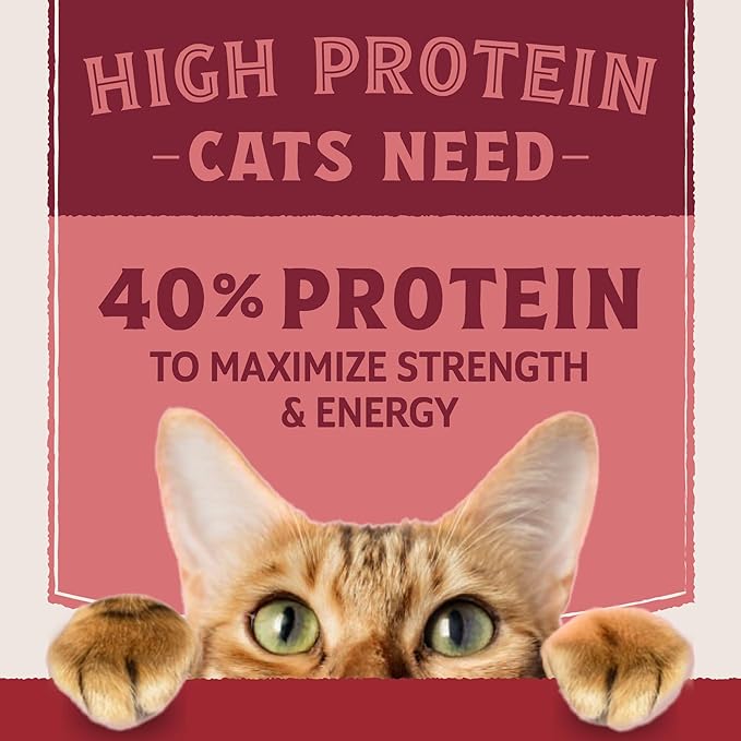 Natural Balance Ultra Protein Dry Cat Food, Real Salmon & Chicken Meal Recipe with Chicken Liver & Chicken Hearts - 6 lbs.