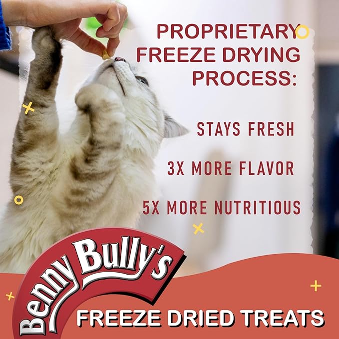 Benny Bullys Beef Heart Chops - Freeze Dried Cat Treats - 20g/ 0.7 oz (4 Pack)