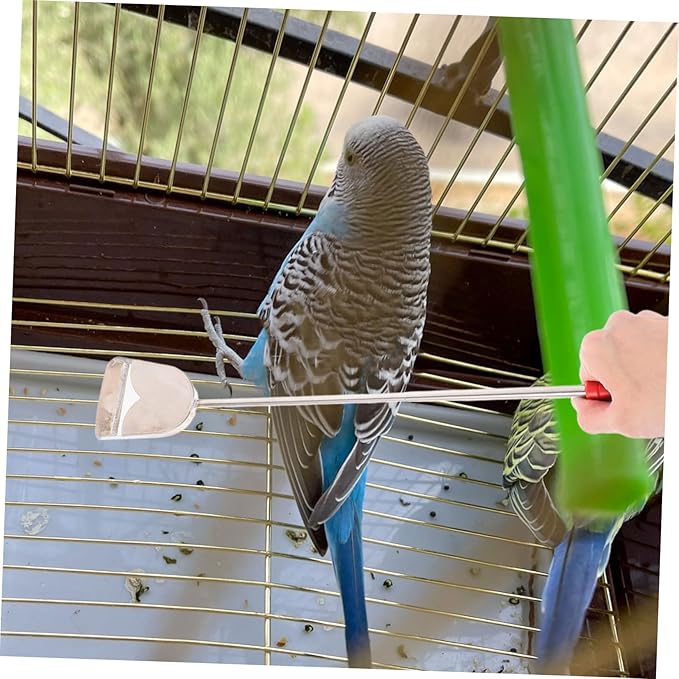 BESPORTBLE 2pcs Parrot Cage Cleaning Brush Set for Parrot Small Animal Cages Includes Droppings Shovel and Garden Cleaning Tool