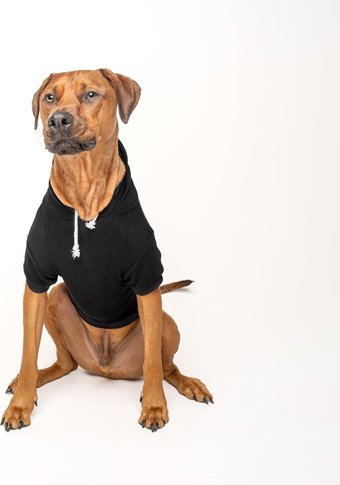 Happy Camping Dog Hoodie | Fleece Lined |Leash Hole| Summer | Outdoors | Travel | Hike|Black, Small 278