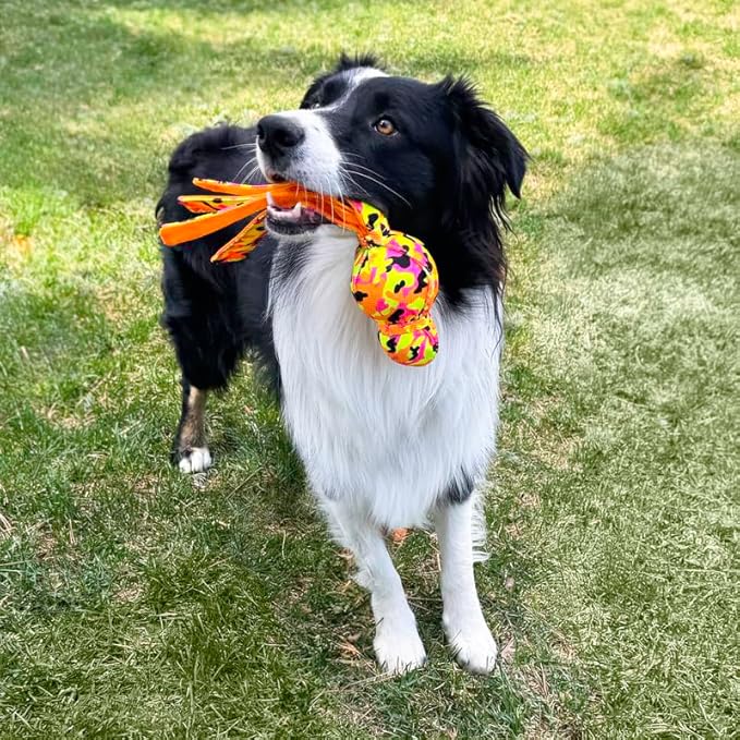 KONG Wubba Ballistic High-Viz Bright Colors High Visibility Squeaky Dog Toy, Large