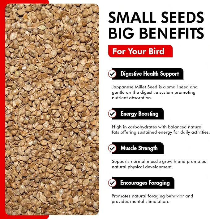 Morning Bird Japanese Millet Seed Bag 18 lbs (2-Pack, 9 lbs Each) - Healthy & Nutritious Pet Bird Food to Support Health & Immunity – Ideal Bird Feed for All Seed-Eating Birds