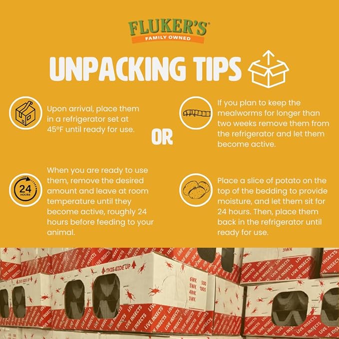 Fluker's Live Mealworms, 10000 Count Feeder Insects for Reptiles, Chickens, and Birds, Large (Approx. 1")