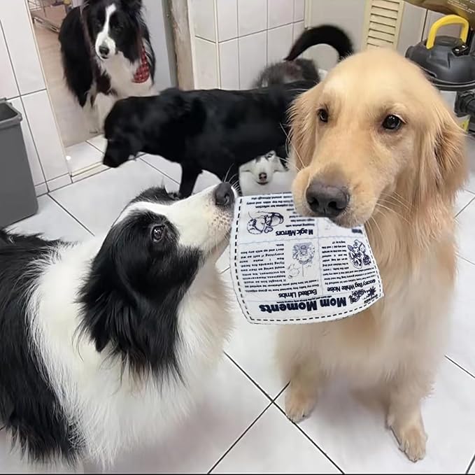2 PCS Plastic Creaks Newspaper Crinkle Dog Pet Chew Toys, 600D Oxford Fabric Washable Bite-Resistant Fun Interactive Tug of War for Dog (Upgarded (Built-in BB Squeaker Crinkle Paper))
