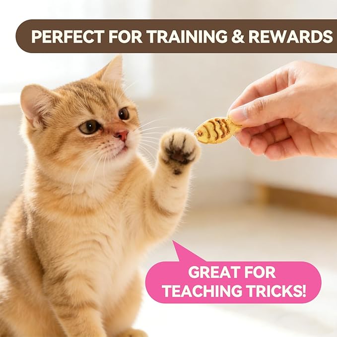 Catnip Cat Treats, Chicken & Salmon Flavor Crunchy Cat Biscuits, Fish-Shaped Training Snacks for Adult Cats, 8 oz