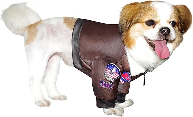 Top Gun: Maverick Pet Costume for For Dogs or Cats by Rubies, Small