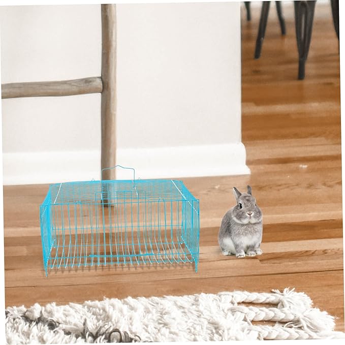 Portable Bird Carrier Cage with Spacious Interior Improved Air Circulation for Small Pets Like Hamsters and Parrots Convenient Travel Design for Outdoor Adventures