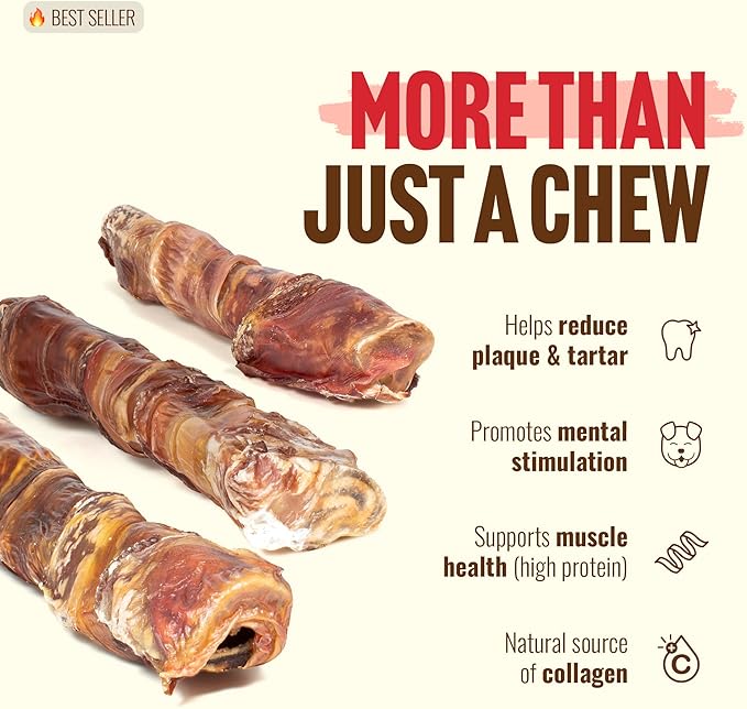 Natural Farm Power Beef Sticks Dog Chews (6”, 15-Pack), 2-in-1 Power Chews: Premium Bully Cheek Wrapped in Beef Esophagus for Double Chewing Time, Promotes Dental Health, Great for Medium Dogs