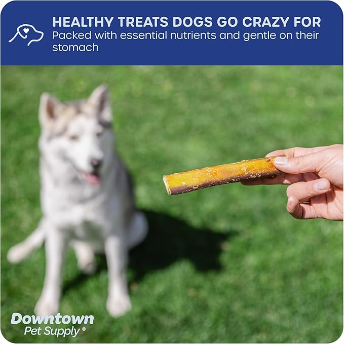 Downtown Pet Supply Jumbo Bully Sticks for Dogs - Natural Beef Chews, Low-Odor & Rawhide-Free, Long Lasting Dog Treats for Aggressive Chewers - Healthy, Safe & Delicious Chews Dogs Love (12" 40 Pack)