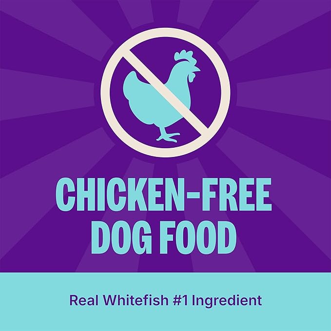 Wellness CORE Adult Dry Dog Food, Grain Free Kibble, Natural, High Protein, Chicken Free, Whitefish, Herring and Salmon Recipe, 12 lb Bag