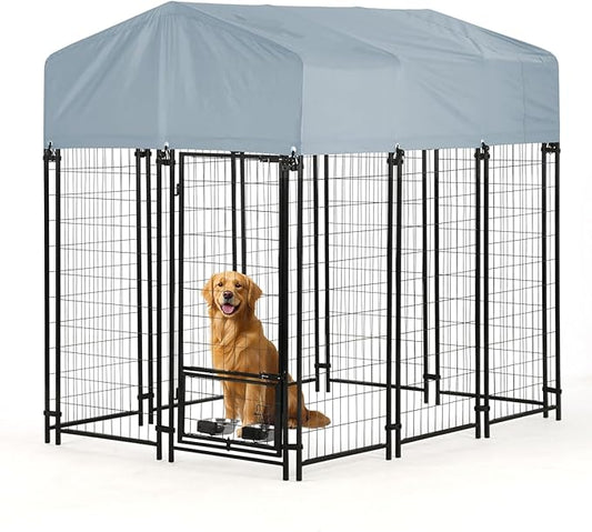Outdoor Dog Kennel